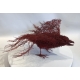 Red bird