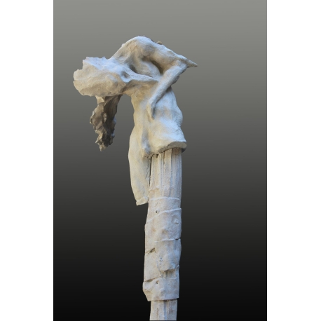 Anima Corpus III