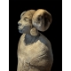 Ancestral Woman