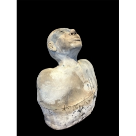 Bust