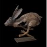Hare