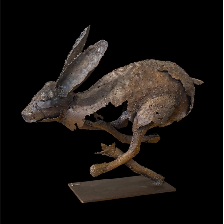 Hare