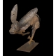 Hare