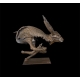Hare