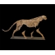 Guépard