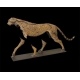 Guépard