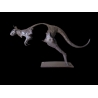 Kangaroo