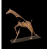 Girafe