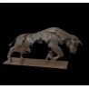 Bull