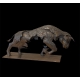Bull