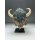 Bison américain